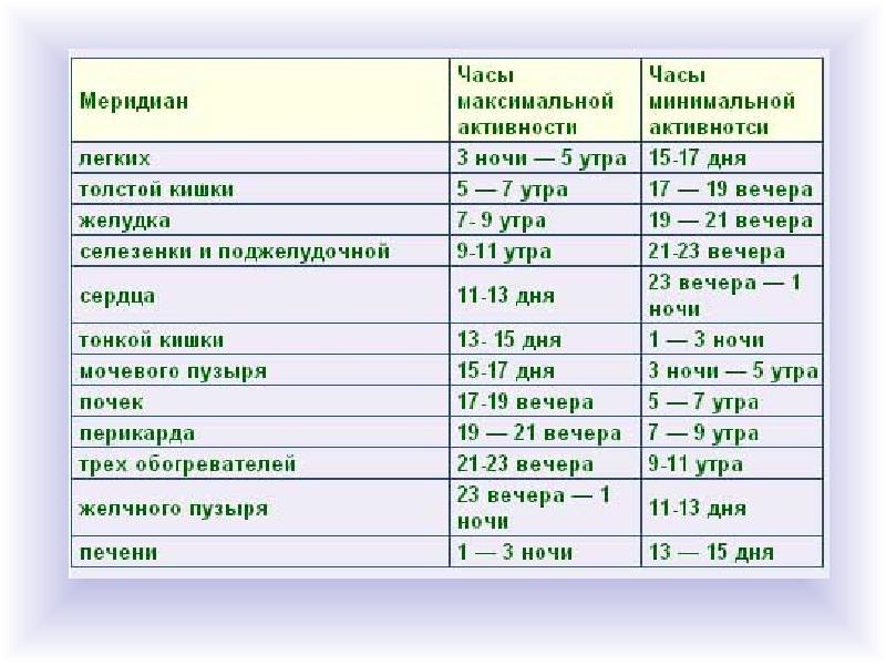 Биоритмы внутренние часы человека презентация