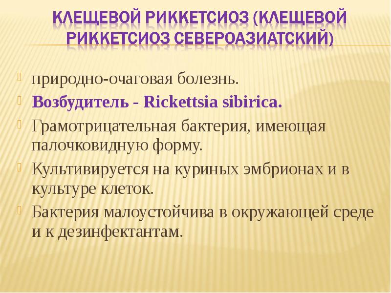 Возбудители бактериальных кровяных инфекций презентация