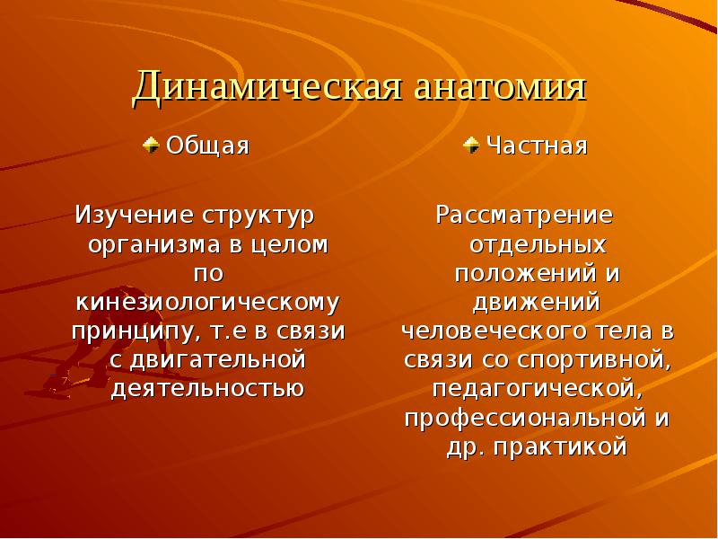 Анатомия план изучения