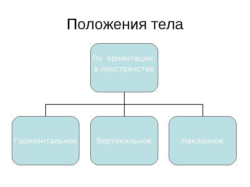 Презентация динамическая анатомия