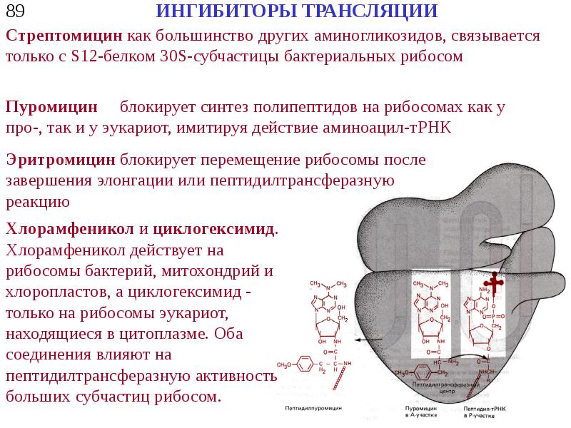 Что такое ингибирование волос