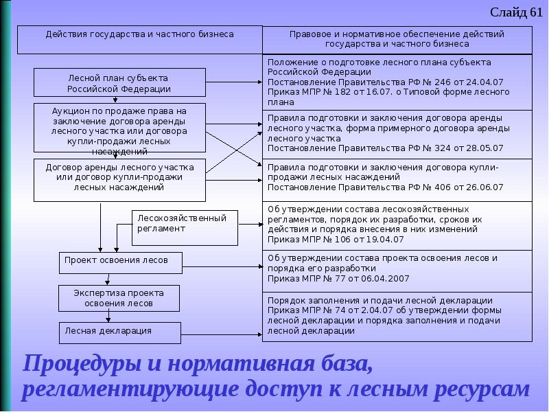 Срок разработки проекта освоения лесов после заключения договора аренды