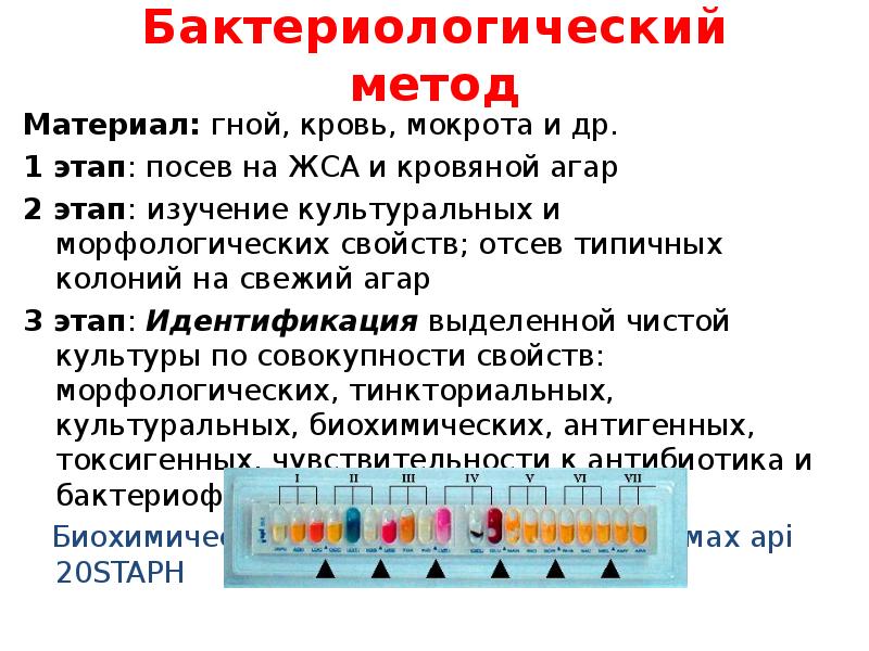 Способ день. Цель 2 этапа бактериологического метода исследования. Первый этап бактериологического метода исследования:. Бактериологического метода исследования микробиология. Бактериологический метод микробиология этапы.