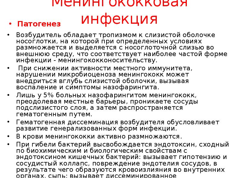 Менингококковая инфекция патогенез