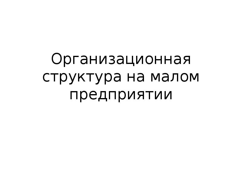 Организационная структура на малом предприятии