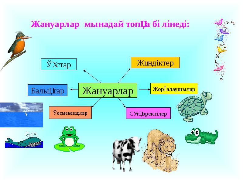 Қазақстанның жануарлар әлемі презентация