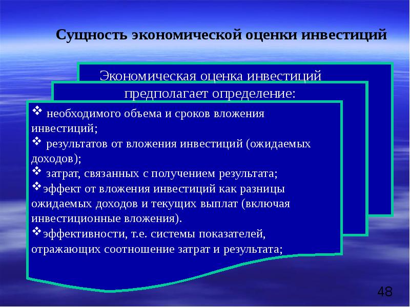 Оценка экономической информации. Экономическая оценка. Виды экономической оценки. Оценка инвестиций. Оценка результата инвестиций.