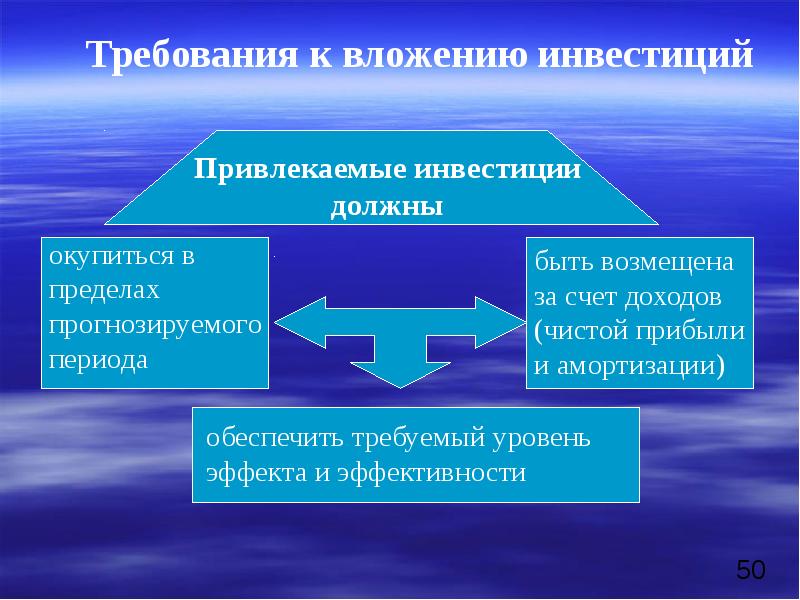 Презентация экономическая оценка инвестиций