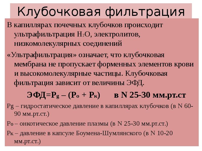 Клубочковая фильтрация 40