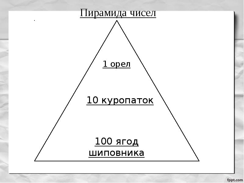 Пирамида чисел. Экологическая пирамида. Пирамида численности примеры. Пирамида чисел примеры.