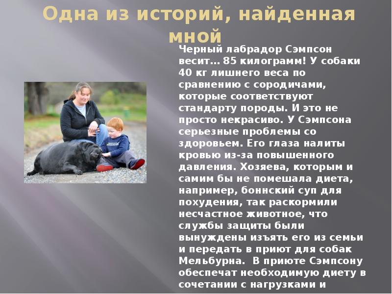 Пурина корм для сердечной недостаточности. Корм для собак при избыточном весе. Vet life obesity для собак. Источник клетчатки для собак. Фармина состав корма для кошек.