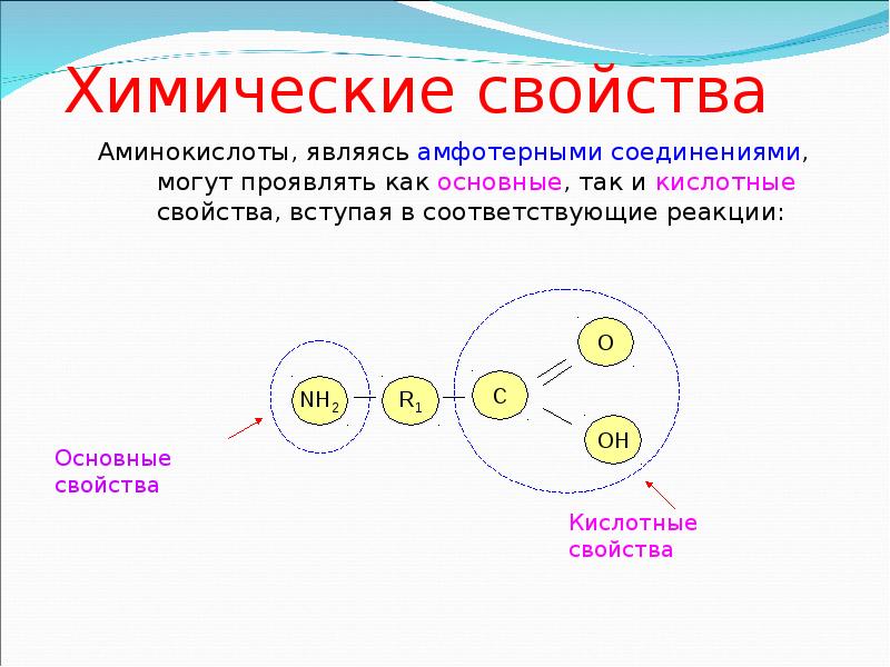 Химические свойства аминокислот презентация