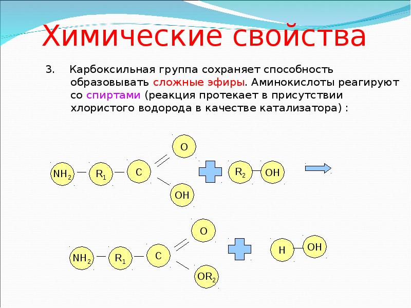 Установление молекулярной формулы органического вещества. Аминокислоты реагируют со спиртами. Химические свойства сложных эфиров аминокислот. Водород на катализаторе формула органика. Определение молекулы дерево формула.