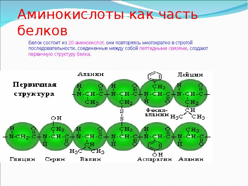 Первичная структура аминокислот. Молекулярная формула аминокислот. Полимер аминокислоты. Формула органического вещества белка.