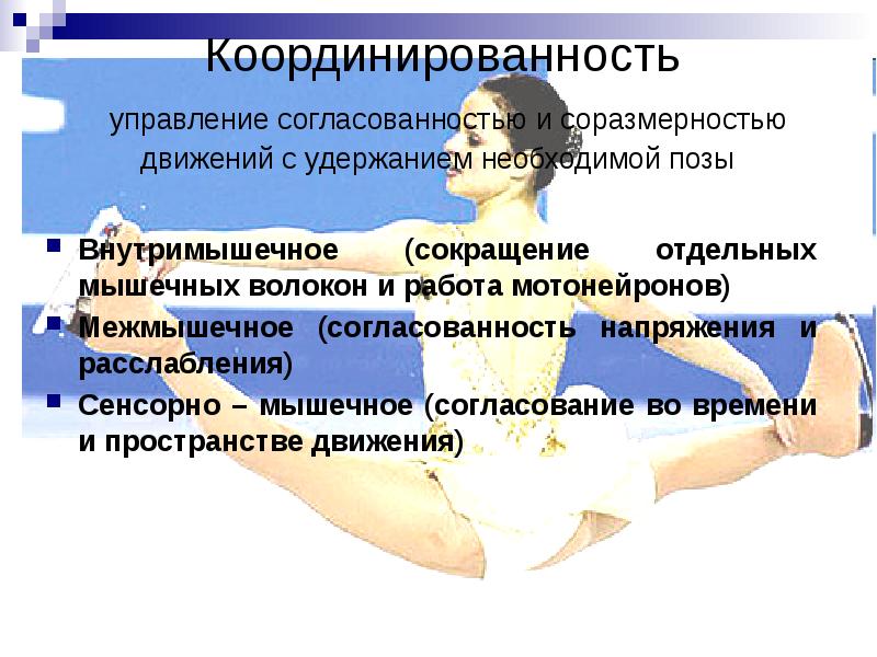 Движение, координация и регуляция. Координация движений мышц. Развитие координационных способностей. Координация движений мышц. Упражнения на координацию легкие.