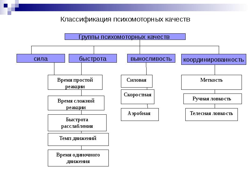 Схема структуры психомоторных способностей по в п озерову предусматривает сколько уровней