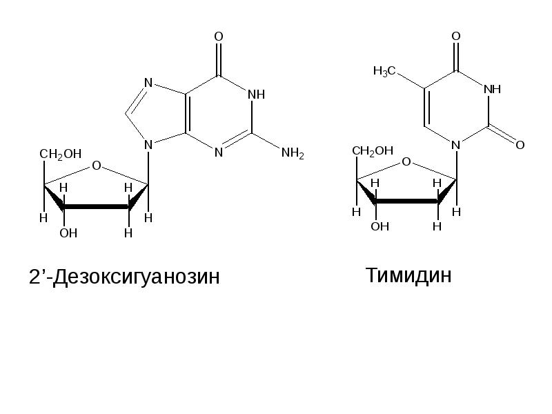 Схема образования дезоксицитидина