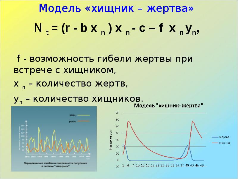 Презентация по теме динамика популяций