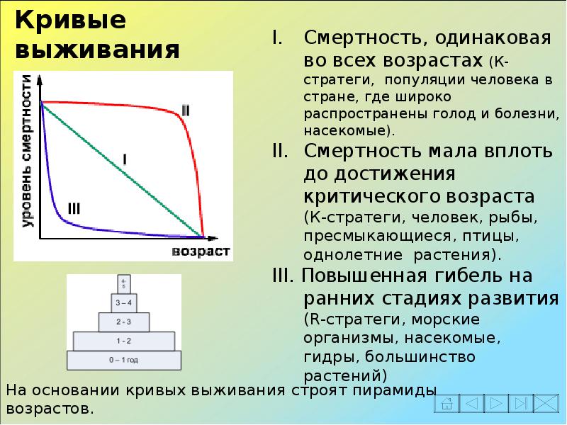 Динамика популяции презентация