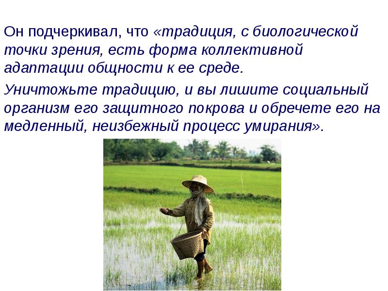 С биологической точки зрения. Традиция это в культурологии. Биологическая точка зрения.