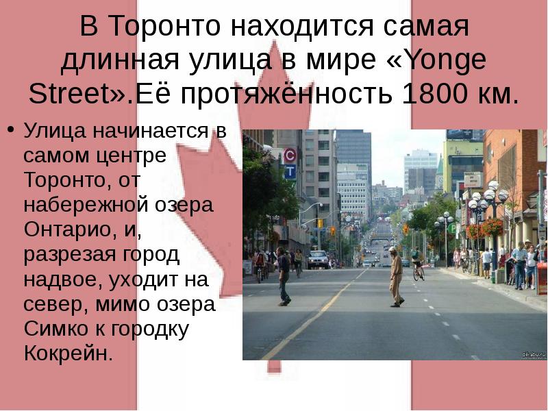 Самая длинная улица города