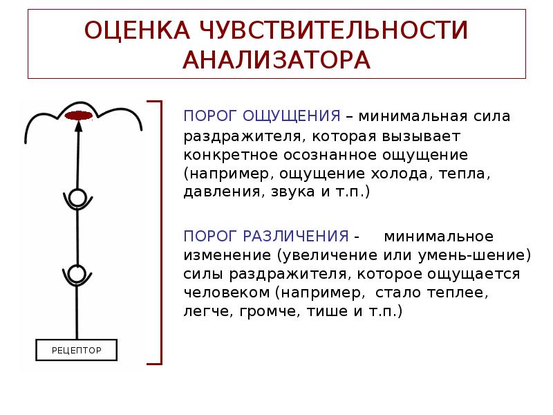 Чувствительность анализаторов