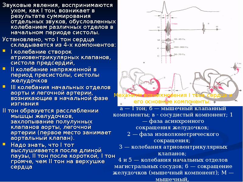 Аускультация сердца пропедевтика презентация