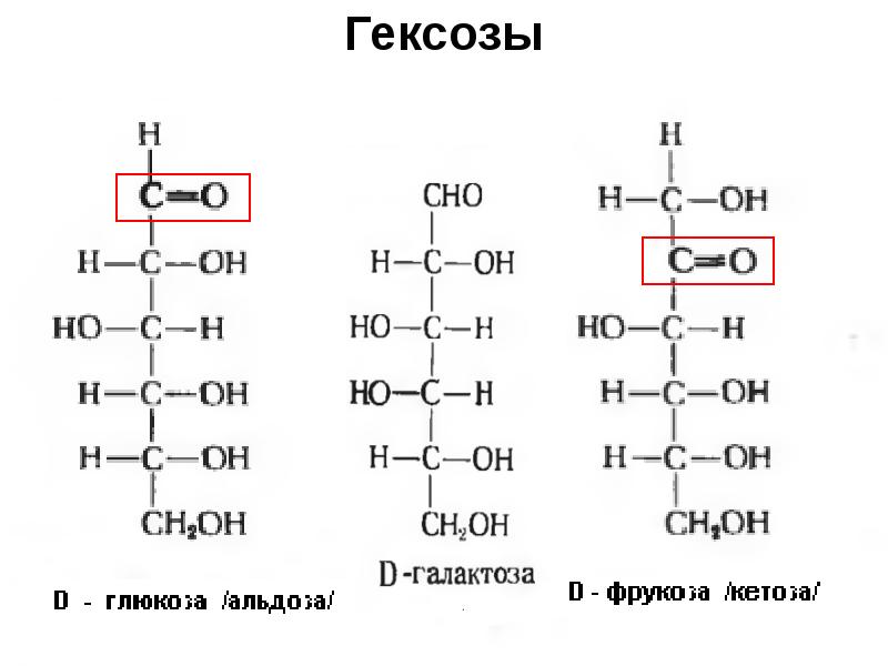 Взаимопревращения фруктозы глюкозы галактозы схема