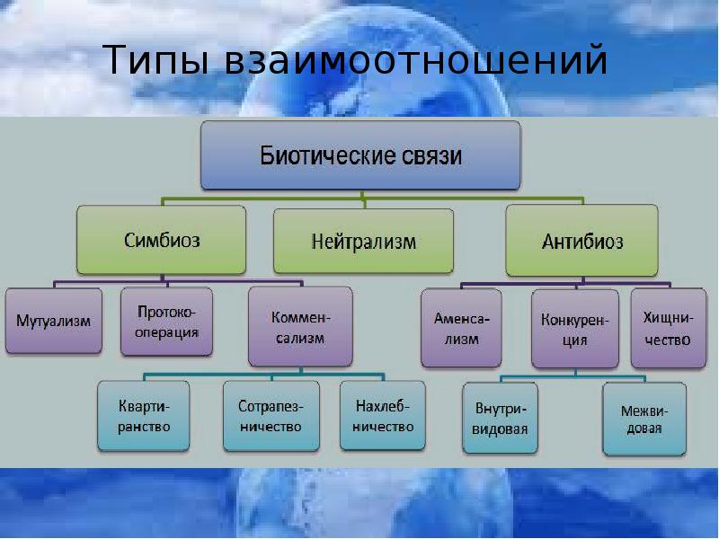 Форма взаимоотношений бактерий. Экология микроорганизмов таблица. Формы взаимоотношений бактерий. Типы биотических взаимоотношений микроорганизмов. Экология микроорганизмов схема.