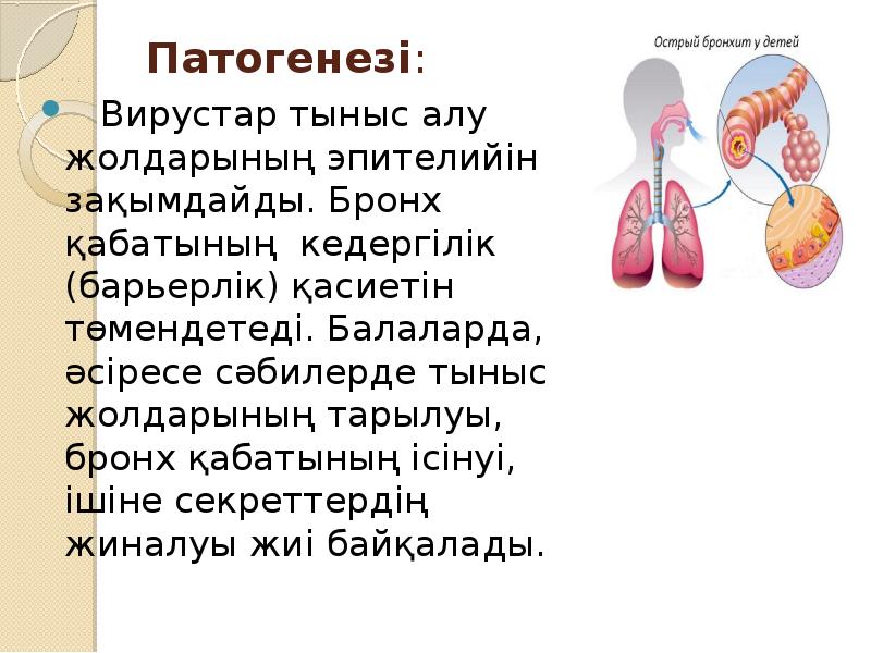 Балаларда бронхит презентация