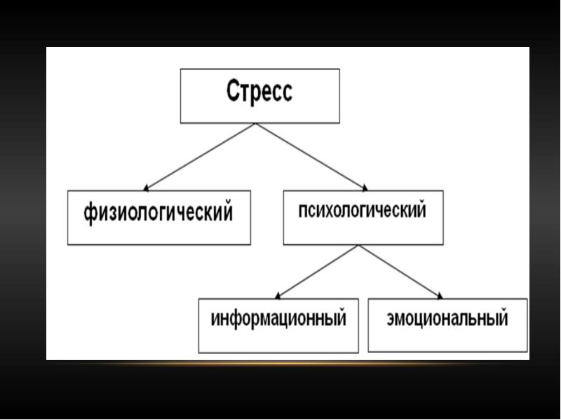 Виды стрессоров презентация