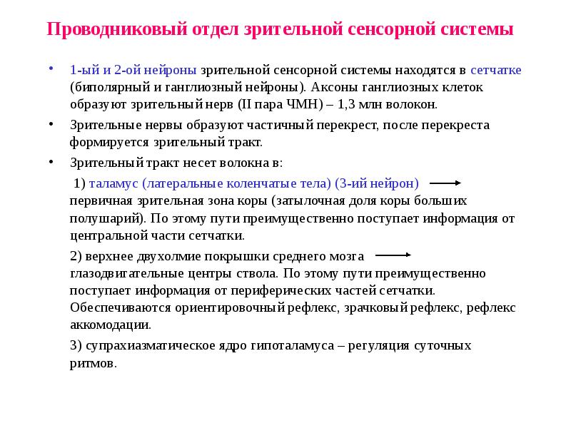 Проводниковый отдел глаза. Проводниковый отдел зрительной системы. Проводниковый отдел зрительной сенсорной. Проводниковый и корковый отделы зрительной сенсорной системы.. Характеристика зрительной сенсорной системы.