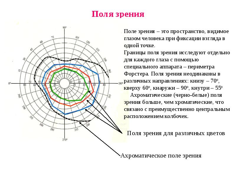 Поля зрения схема бланк