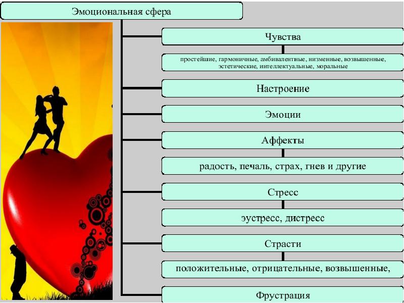 Описание эмоционально волевой сферы ребенка образец