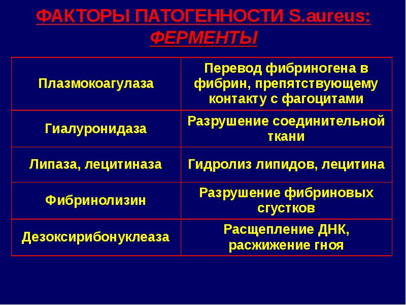 Плазмокоагулаза стафилококка