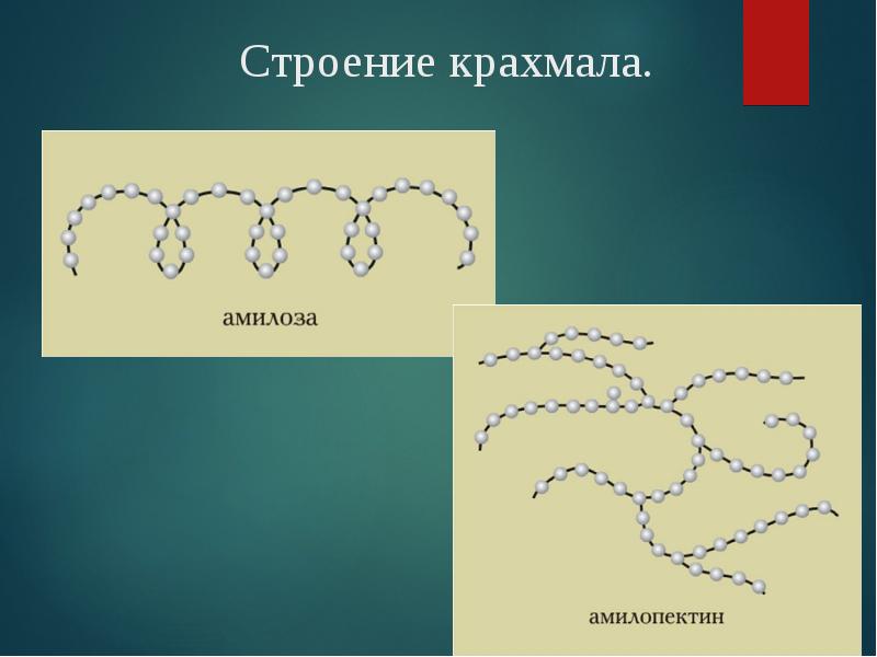 Строение крахмала. Строение крахмала.