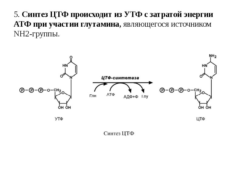 Схема получения умф