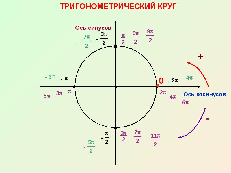 Круг косинусов. Тригонометрический круг синус и косинус. Круг тригонометрия п на 2. Тригонометрическая окружность ось синусов. Единичная окружность тригонометрия косинус.