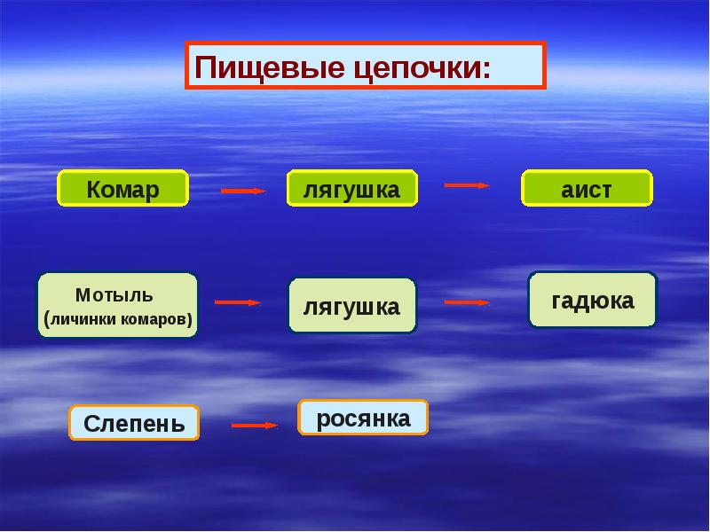 Схема природного сообщества 6 класс