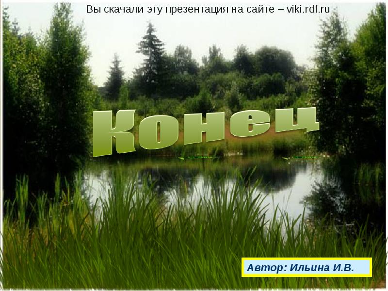 Сообщество болото 5 класс биология. Сообщество болота. Природное сообщество болота. Природное сообщество болото 3 класс. Природное сообщество в болоте.