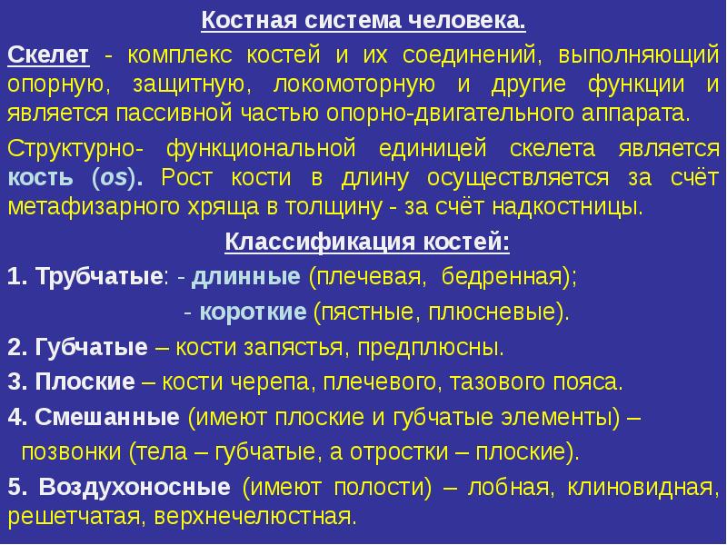 Костная система органы и функции. Костная система человека анатомия. Опорно двигательная система скелет туловища. Строение костной системы. Костная система имеет.