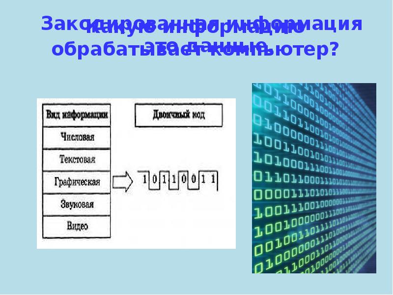 Какую информацию может обрабатывать компьютер