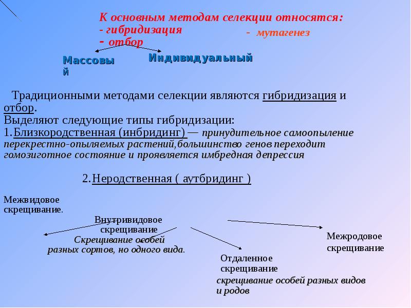 Селекция егэ презентация