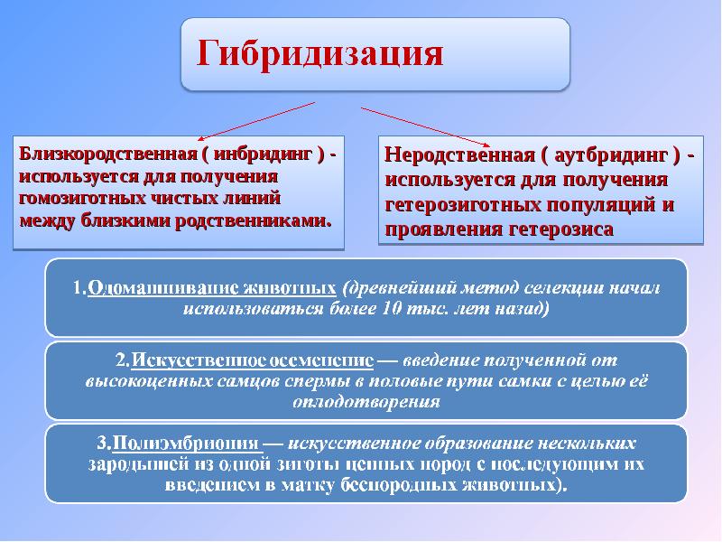 Гибридизация это. Методы гибридизации. Основные методы гибридизации. Методы селекции растений гибридизация. Гибридизация метод селекции.