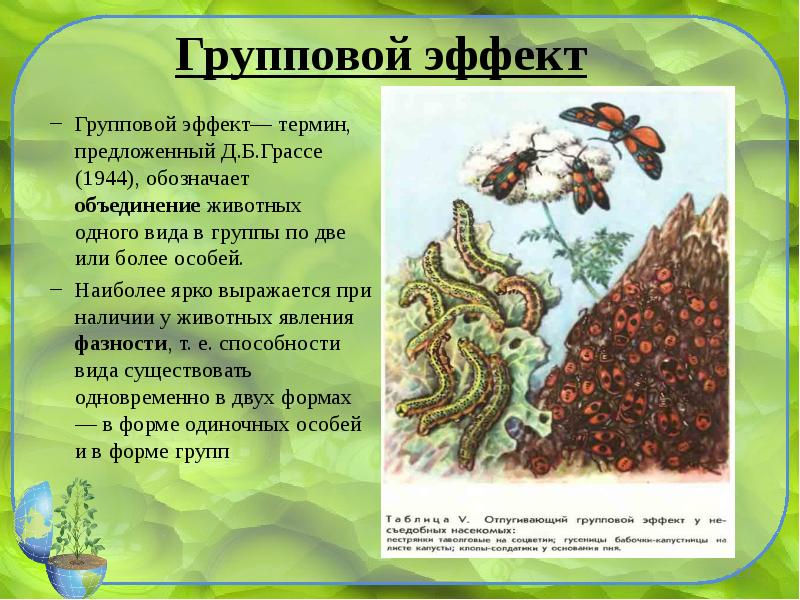 Курсовая работа: Екологія та поведінка плазунів