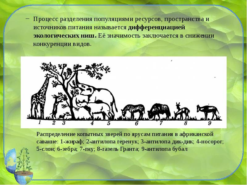 Курсовая работа: Екологія та поведінка плазунів