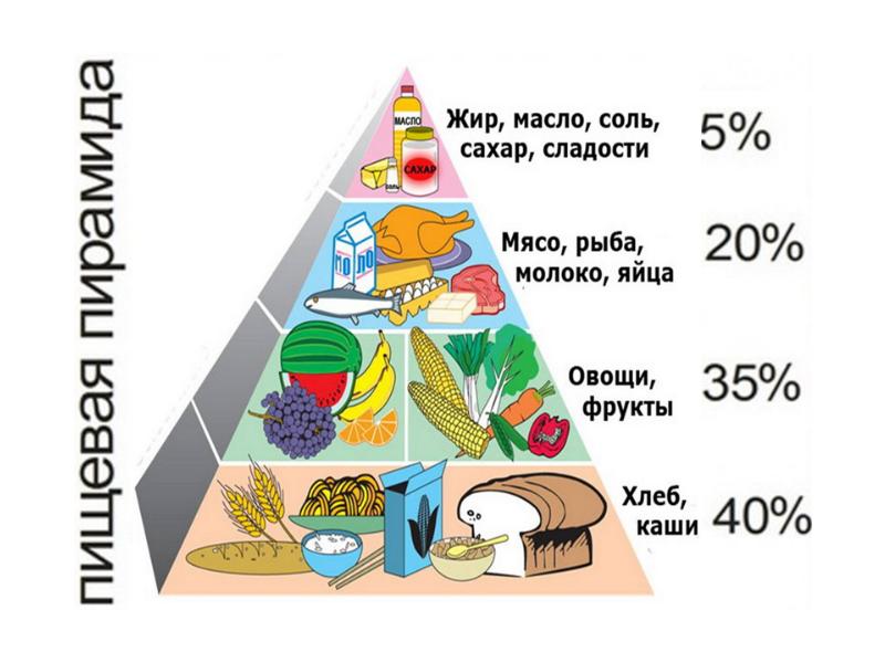 Рисунок рацион питания