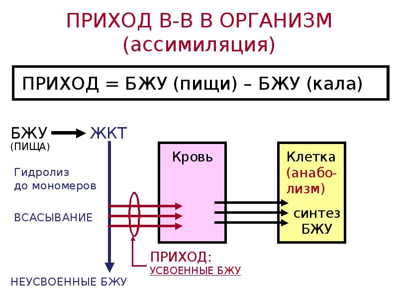 Обмен веществ между оболочками