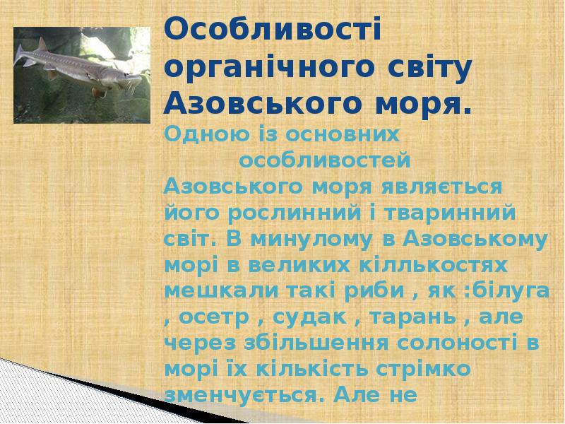 Особливості органічного світу Азовського моря. Одною із основних Особливості органічного світу Азовського моря. Одною із основних