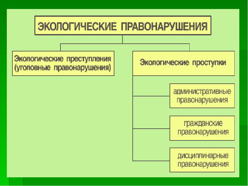 Экологические права граждан презентация